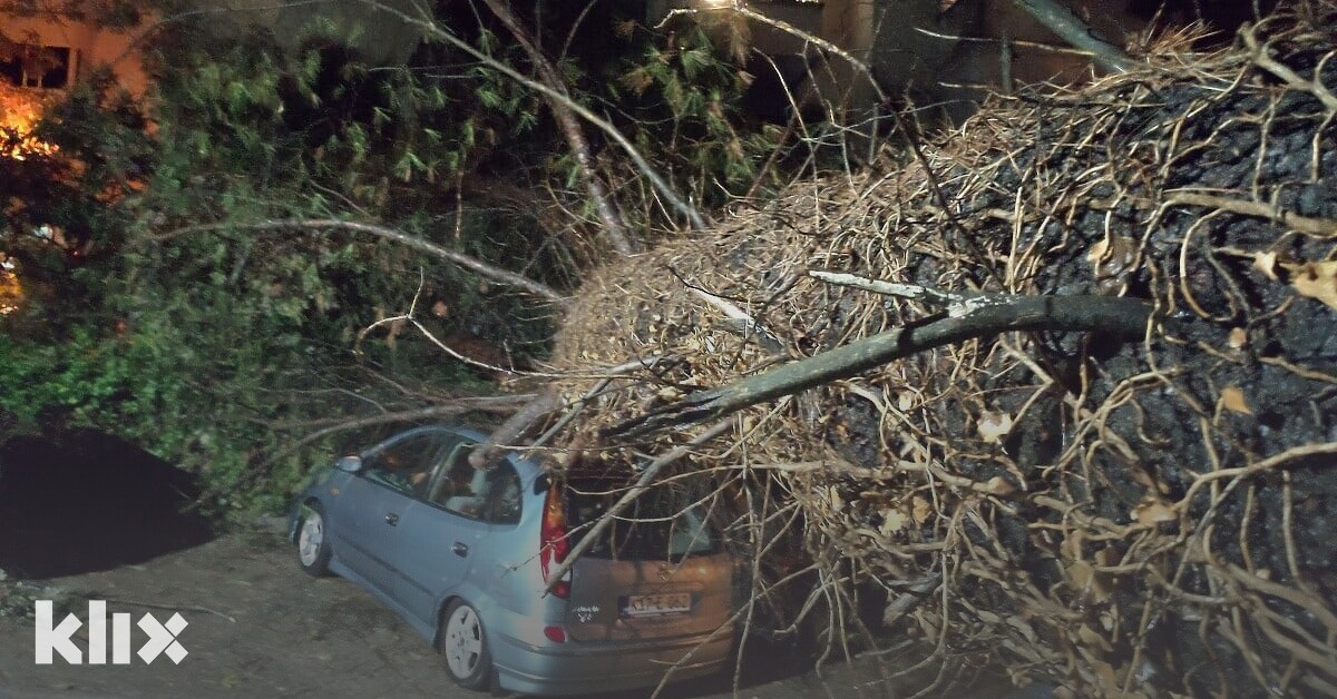 Posljedice nevremena u Mostaru: Srušio se veliki bor i poklopio automobil, nema ga ko ukloniti