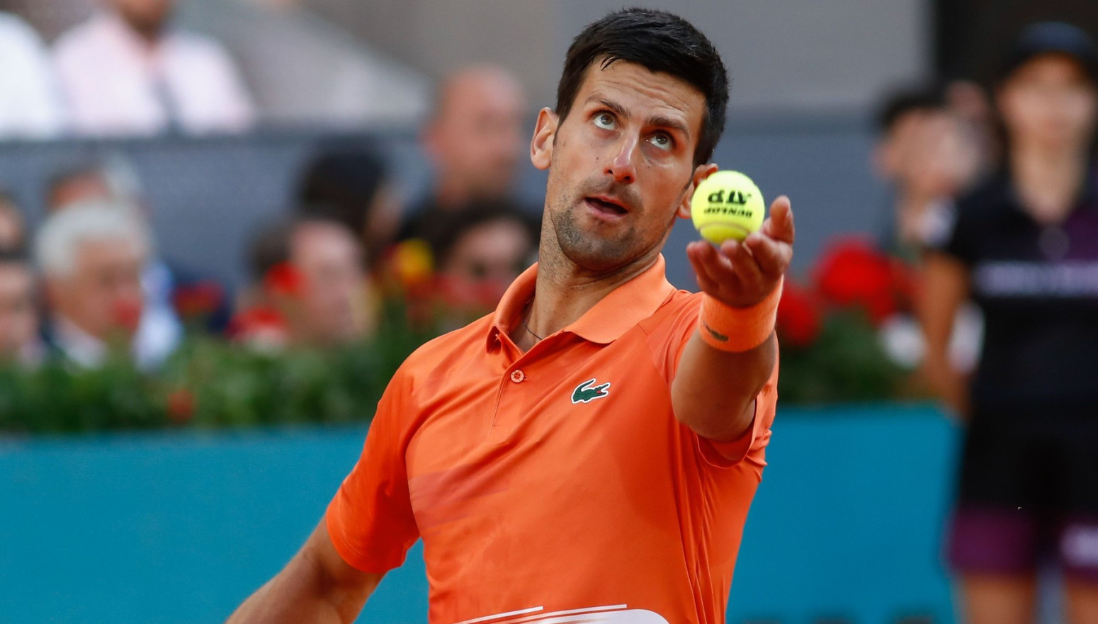 Stiže i Rafa, Novak u Madridu ima paklenu konkurenciju - Vesti - Tenis.sport