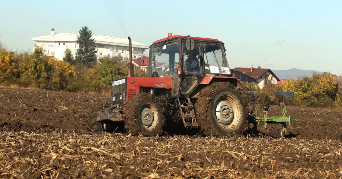 Koliko košta poljoprivredno zemljište u Srbiji: Gde je najskuplja, a gde najjeftinija parcela