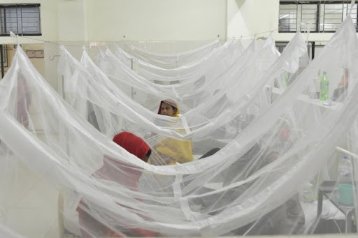 Crevne bakterije u borbi protiv bolesti koje prenose komarci