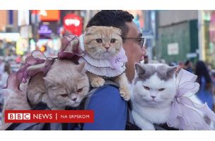„Putujem svetom sa tri mačke na ramenu" - BBC News na srpskom