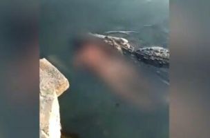 HOROR U MEKSIKU: Džinovski krokodil opušteno nosio telo muškarca u čeljustima! Ljudi bez daha snimali jeziv prizor! UZNEMIRUJUĆE