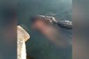 HOROR U MEKSIKU: Džinovski krokodil opušteno nosio telo muškarca u čeljustima! Ljudi bez daha snimali jeziv prizor! UZNEMIRUJUĆE