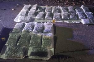 Uhapšeni članovi kriminalne grupe iz Niša i pronađeno 80 kg marihuane