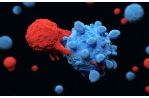Novi tretmana koji menja T ćelije kao doživotna zaštita od raka
