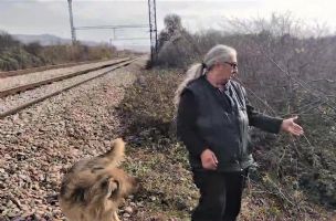 MISTERIJA LOBANJE I SKELETA U NIŠKOM SELU: Mimica videla užasan prizor dok je šetala psa! "OD SINOĆ SAM NA LEKOVIMA" (VIDEO)