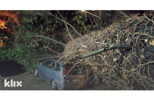 Posljedice nevremena u Mostaru: Srušio se veliki bor i poklopio automobil, nema ga ko ukloniti
