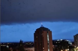 Zastrašujući snimak pred nevreme u Novom Sadu, ptice panično letele: Nebo podeljeno na dva dela