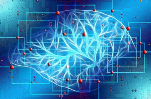 Naučnici napravili najveću mapu mozga: Može da promeni način lečenja bolesti
