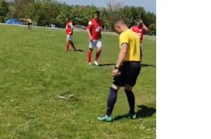 Zmija prekinula fudbalski meč u Leskovcu (video) - JuGmedia